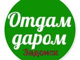 Отдам Даром Задонск