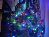 🎄