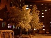 Красота