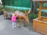1 день в гкп