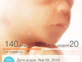 Экватор