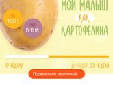 Всем приветик чёт давно