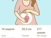 18 недель