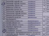 А можно вот эти