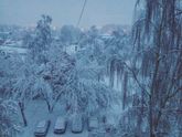 Снежно у нас в