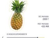 33 недельки