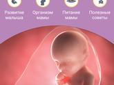 Ну вот и пошла 39ая неделя