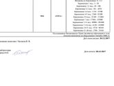 1 день задержки