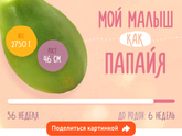 #36Недель день Х всё