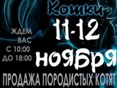 Выставки в г.Уфа