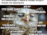Утро доброе ?