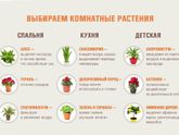 Растения ?
