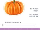 Пошла 40 неделя