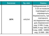Рост хгч