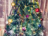 🎄