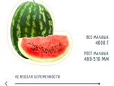 Мой малыш