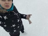 Коньки