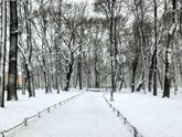 Снег