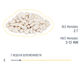 Моя фасолинка❤️