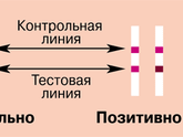 Тест на овуляцию