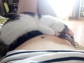 Кошки все чувствуют!