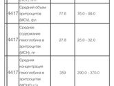 Анализы в 3 месяца
