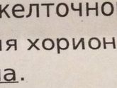Вопрос