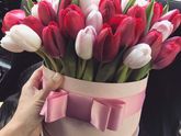 ❤❤❤❤Всем весеннего настроения ???