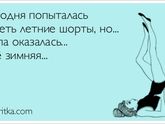 Своя система, день 17