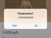 У кого есть минипинчеры(цвергпинчер)?