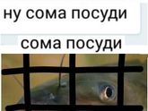 унижена школьницей