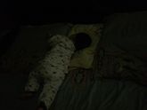 Доченька бодрствовала по сей