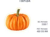 Уже 40 недель!?