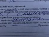Степень зрелости плаценты и кальцинаты.