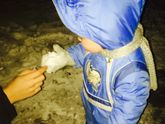 Зима пришла☃