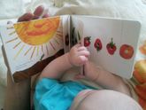 Мишка - юный книголюб😂😂