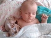 Про котёнка и ребёнка.