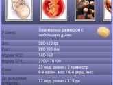 23 недели)