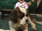 Замерла от счастья я