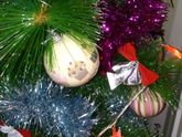 Наша ёлочка 🌲🎁🎄