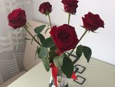 7 дней розам?