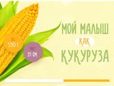 23 неделя