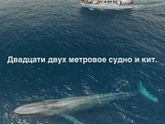 Ещё шуточек)))
