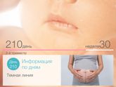 Мои 30 недель