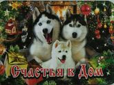 С наступающим Новым Годом