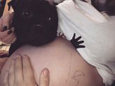 Скукотища 😰