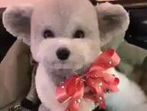 Вспомнила сайт)