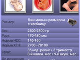 35 недель ровно)))