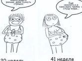 Вся суть Бебика)