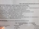 УЗИ брюшной полости у грудничка.
